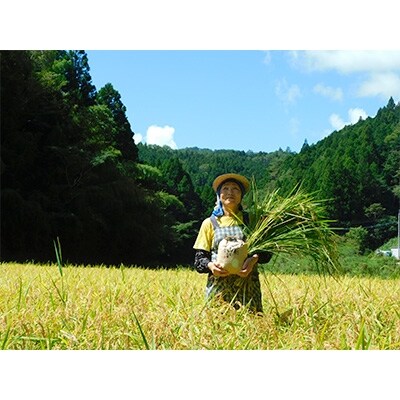 大わらじの里 宮谷 山のお米 玄米【3kg】