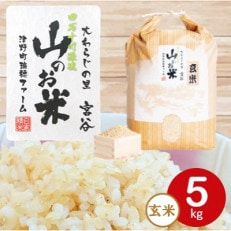 高知県,玄米のお礼品・返礼品一覧 | ふるさと納税サイト「さとふる」