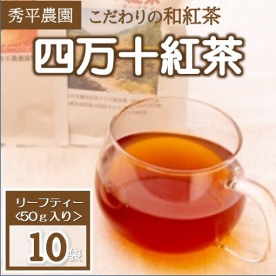 四万十紅茶〈リーフティー〉50g×10袋