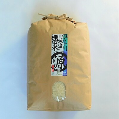 2021年2月発送開始『定期便』四万十川源流棚田米〈10kg〉全12回