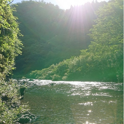 どぶろく「竹城」(720ml)2本　四万十川の清流で育ったお米で仕込みました