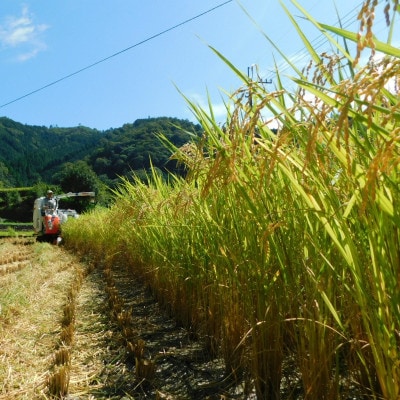 どぶろく「竹城」(720ml)4本　四万十川の清流で育ったお米で仕込みました
