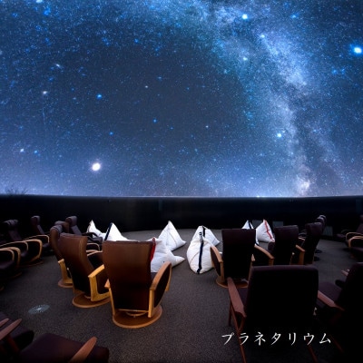 星ふるヴィレッジTENGU　星空客室(バス付き)ペア宿泊券