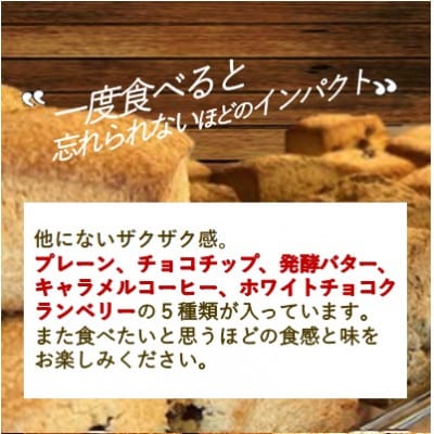 ザクザクスコーン オススメ10コセット(1)