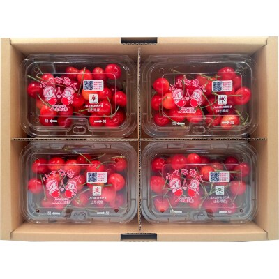 【2026年発送】さくらんぼ佐藤錦720g(L以上・180g×4パック詰)_H161(R8)