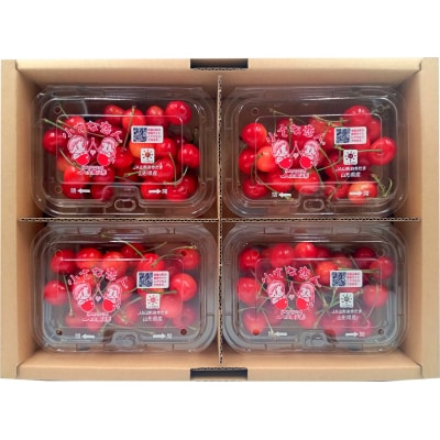 【2026年発送】さくらんぼ佐藤錦720g(L以上・180g×4パック詰)_H161(R8)