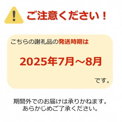 【R7年7～8月発送】山形の小玉すいか「姫まくら」2玉(計約4.5kg)_H114(R7)