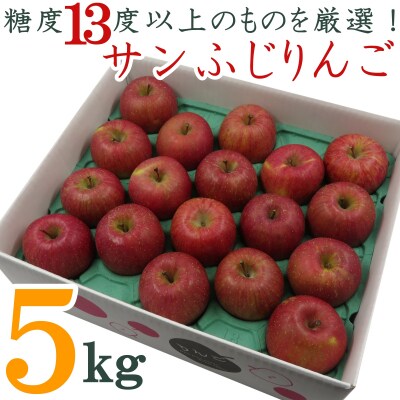【R8年発送】糖度13度以上厳選!サンふじりんご5kg_H127(R8)