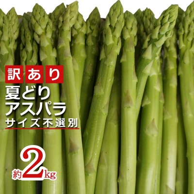 【2026年発送】ご家庭用訳あり夏どりアスパラ(S～2Lサイズ・2kg)_H156(R8)