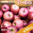 【2025年11月～12月発送】ご家庭用訳ありリンゴ(サンふじ)約10kg_H085(R7)