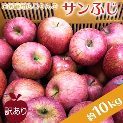 【2025年11月～12月発送】ご家庭用訳ありリンゴ(サンふじ)約10kg_H085(R7)