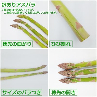 【2026年発送】ご家庭用訳あり春どりアスパラ(S～2Lサイズ・2kg)_H155(R8)