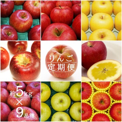 【2026年発送】【定期便9回】「秀品」りんご5kg×9種_H150(R8)
