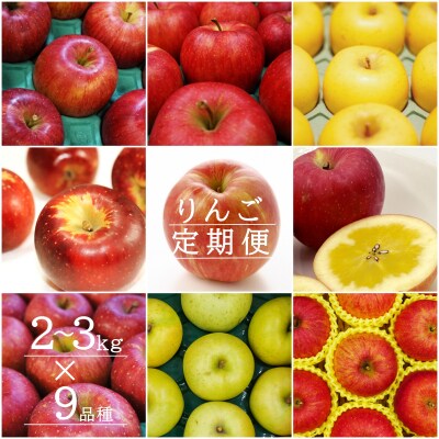【2026年発送】【定期便9回】「秀品」りんご2～3kg×9種_H151(R8)