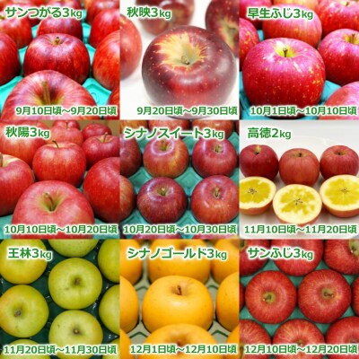 【2026年発送】【定期便9回】「秀品」りんご2～3kg×9種_H151(R8)