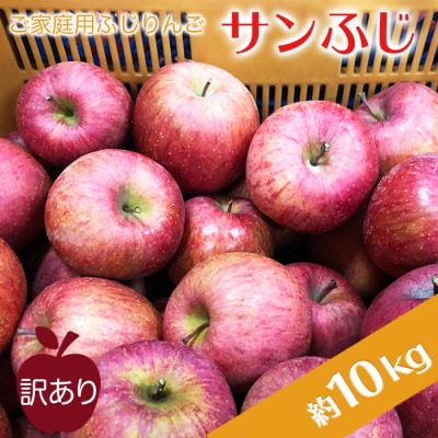 【2027年1月発送】ご家庭用訳ありリンゴ(サンふじ)約10kg_H085(R8)-2