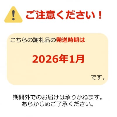 【2026年1月発送】ご家庭用訳ありリンゴ(サンふじ)約10kg_H085(R7)-2