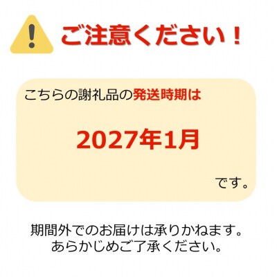 【2027年1月発送】ご家庭用訳ありリンゴ(サンふじ)約10kg_H085(R8)-2