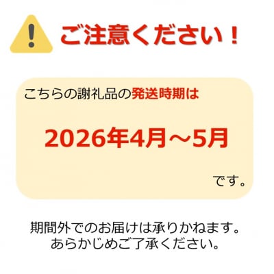 【2026年発送】春どりアスパラ(2L～3Lサイズ・約1kg)_H172(R8)