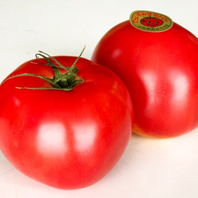寺泉トマト 約4kg(2kg×2箱)_H101(R4)