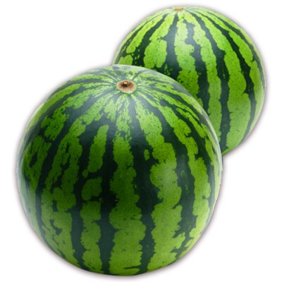 【2026年発送】長井市伊佐沢の大玉すいか約8～11kg×2玉_H054(R8)