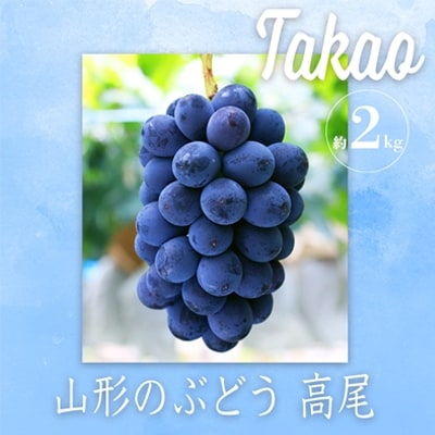 【2026年発送】「秀品」山形のぶどう(高尾)約2kg_H058(R8)