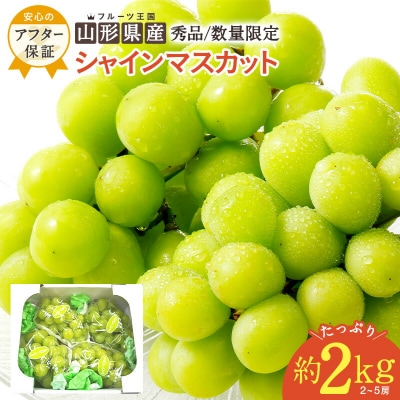 【期間限定・2026年発送】山形のぶどう(シャインマスカット)約2kg(2～5房)_H063(R8)