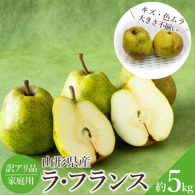 【2026年発送】ご家庭用訳ありラ・フランス約5kg_H071(R8)