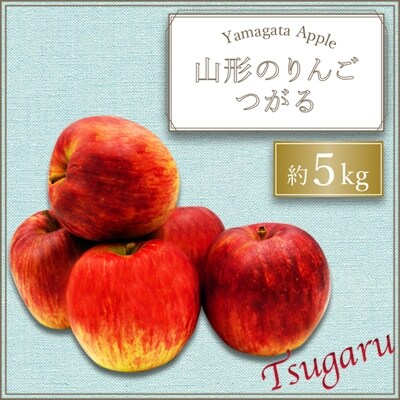 【2026年発送】山形のりんご(つがる)約5kg_H074(R8)