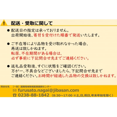【2026年発送】山形のりんご(つがる)約5kg_H074(R8)