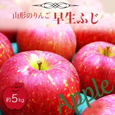 【2026年発送】山形のりんご(早生ふじ)約5kg_H075(R8)