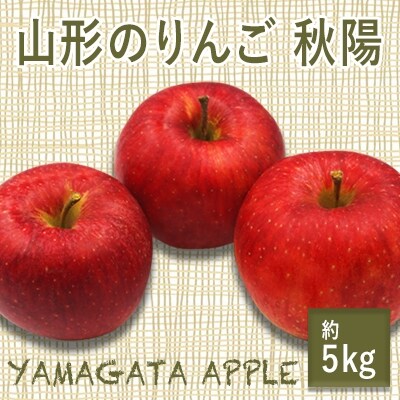 【2026年発送】山形のりんご(秋陽)約5kg_H077(R8)