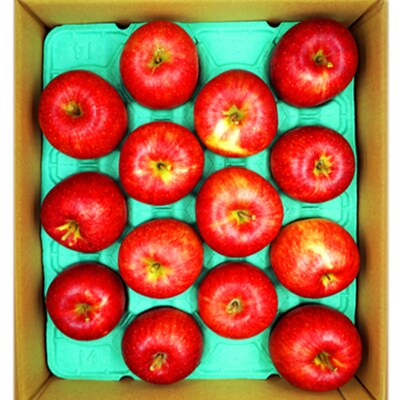 【2026年発送】山形のりんご(秋陽)約5kg_H077(R8)