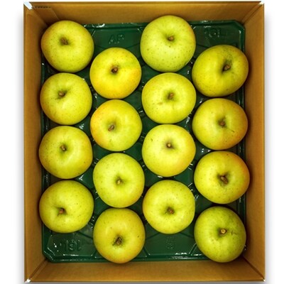 【2026年発送】山形のりんご(王林)約5kg_H079(R8)