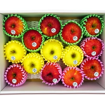 【2026年発送】山形のりんご食べくらべ3種 約3kg_H080(R8)