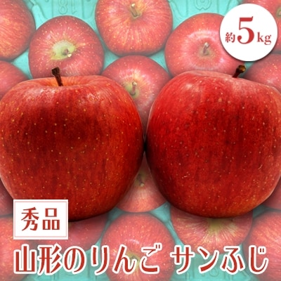 【2026年発送】「秀品」山形のりんご(サンふじ)約5kg_H081(R8)
