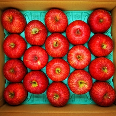 【2026年1月発送】「秀品」山形のりんご(サンふじ)約5kg_H081(R7)