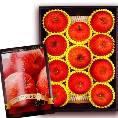 【2026年発送】「秀品」山形のりんご(サンふじ)約3kg_H083(R8)