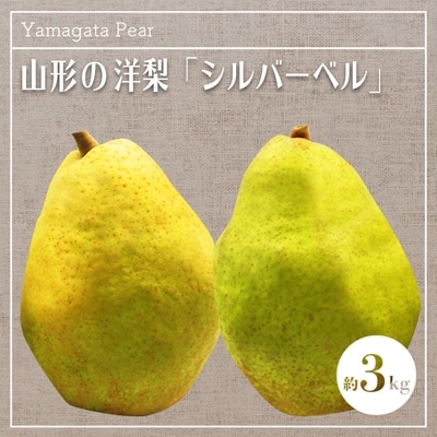【2026年発送】山形の洋梨「シルバーベル」約3kg_H090(R8)