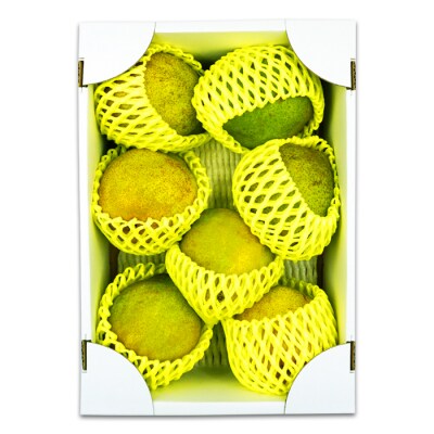 【2026年発送】山形の洋梨「シルバーベル」約3kg_H090(R8)