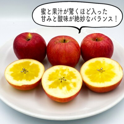 【2026年発送】山形のりんご(高徳)約3kg_H140(R8)