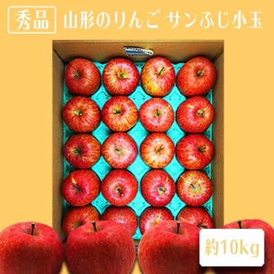 【2026年発送】「秀品」山形のりんご(小玉サンふじ)約10kg_H084(R8)