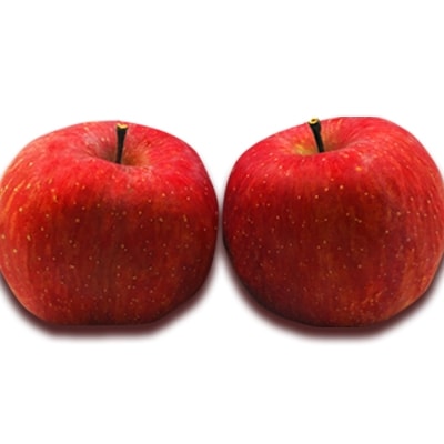 【2026年発送】「秀品」山形のりんご(小玉サンふじ)約10kg_H084(R8)