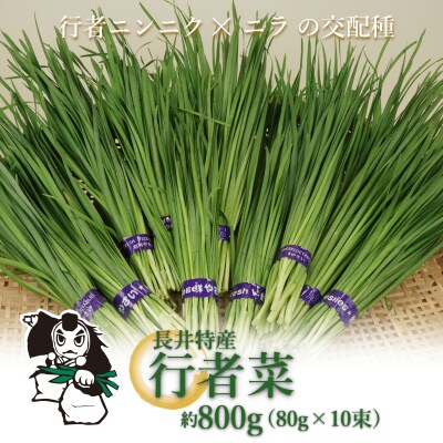【2026年発送】長井特産行者菜約800g(80g×10束)_H100(R8)