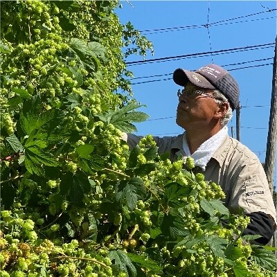 キリン「一番搾り」350ml缶×1ケース(24本)