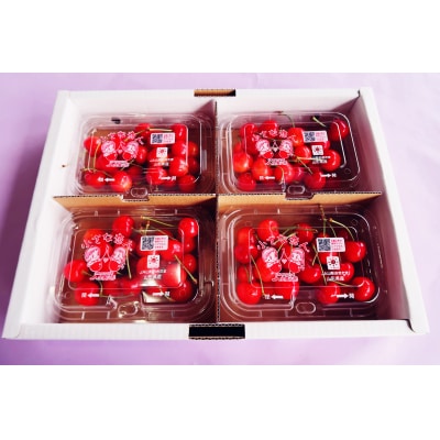 【2026年発送】さくらんぼ紅秀峰720g(M玉以上・180g×4パック詰)_H224(R8)