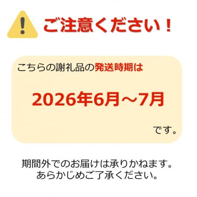 【R8年発送】「秀品」さくらんぼ紅秀峰500g(L以上・バラ詰)_H112(R8)