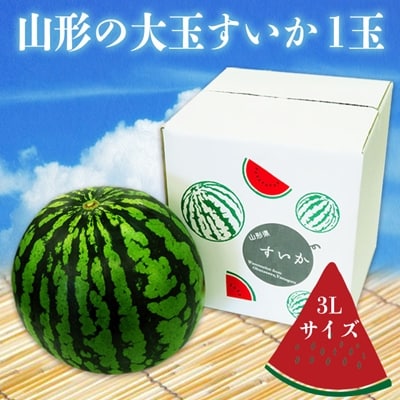 【R8年発送】山形の大玉すいか(品種おまかせ)約8kg×1玉_H113(R8)