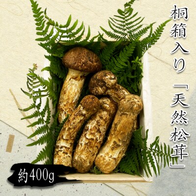 【2026年発送】山形県産「天然松茸(まつたけ)」約400g(桐箱入)_H086(R8)