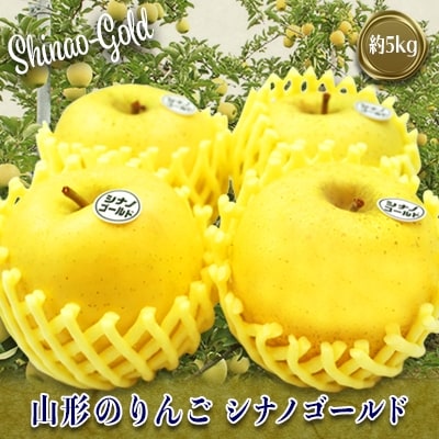 【2026年発送】山形のりんご(シナノゴールド)約5kg_H120(R8)